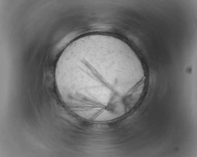 X0000112821354200909181615