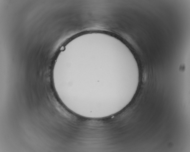 X0000112821356200909181615