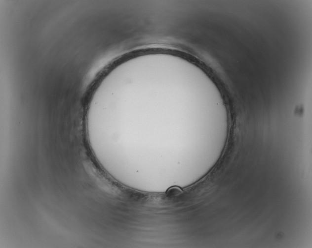 X0000112821360200909181615