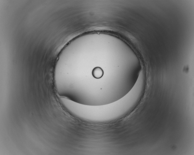 X0000112821361200909181615