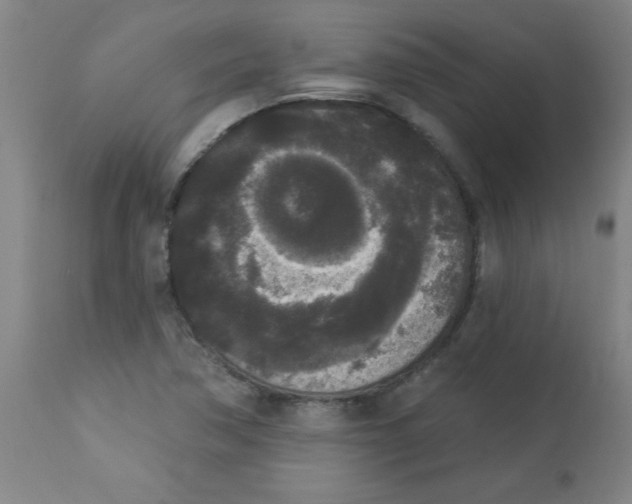 X0000112821362200909181615