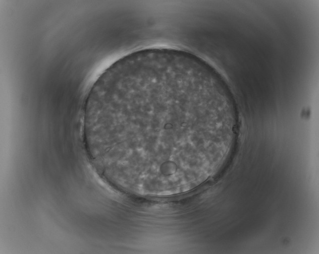 X0000112821367200909181615