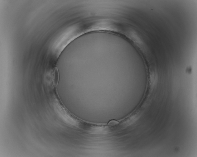 X0000112821369200909181615