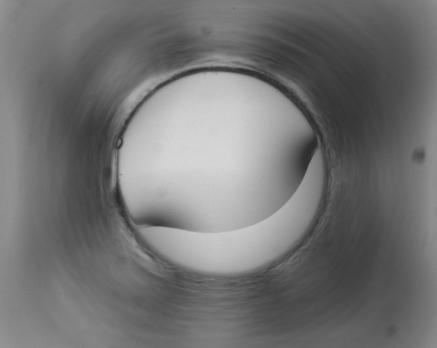 X0000112821371200909181615