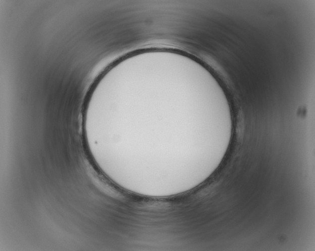 X0000112821372200909181615