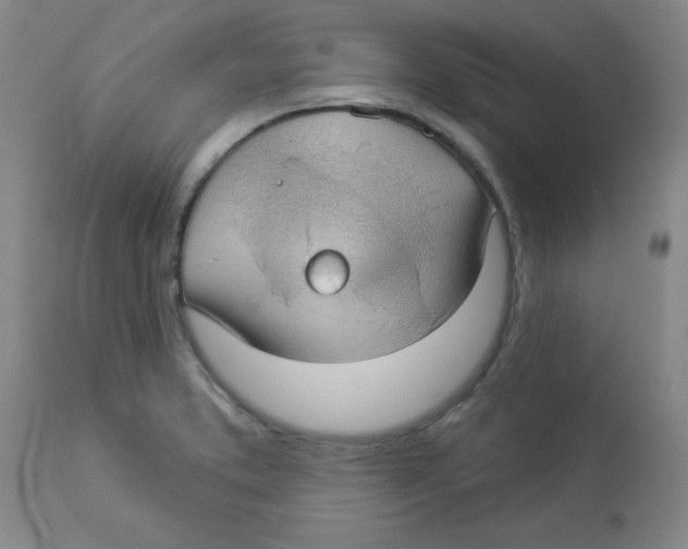 X0000112821373200909181615