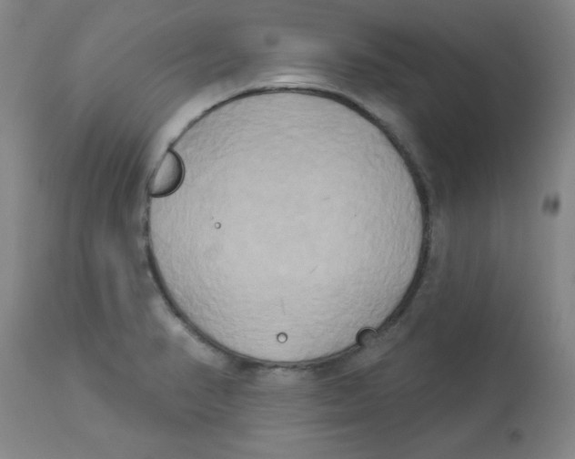 X0000112821374200909181615