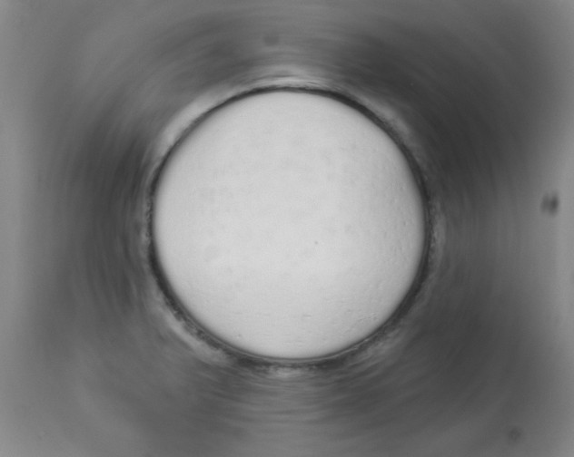 X0000112821375200909181615