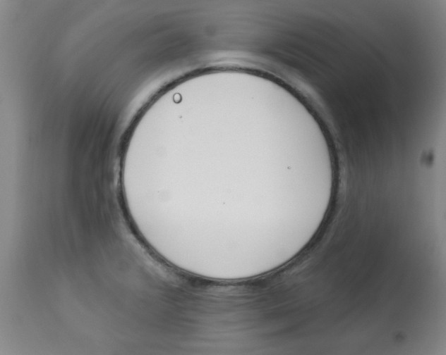 X0000112821376200909181615