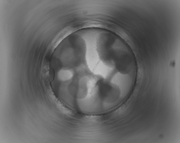 X0000112821377200909181615