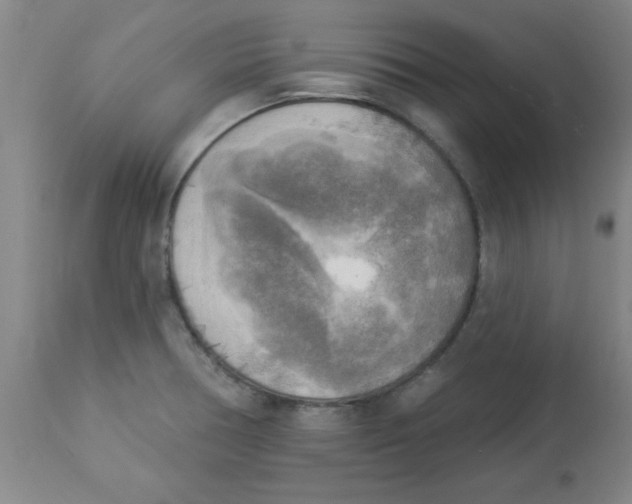 X0000112821378200909181615