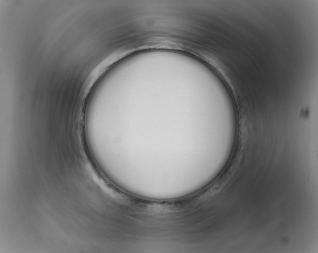 X0000112821379200909181615