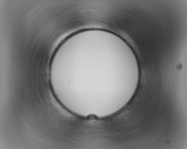 X0000112821380200909181615