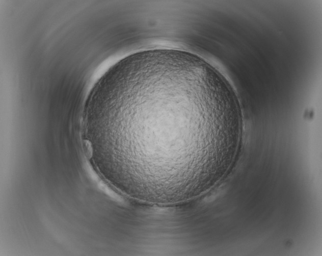 X0000112821381200909181615