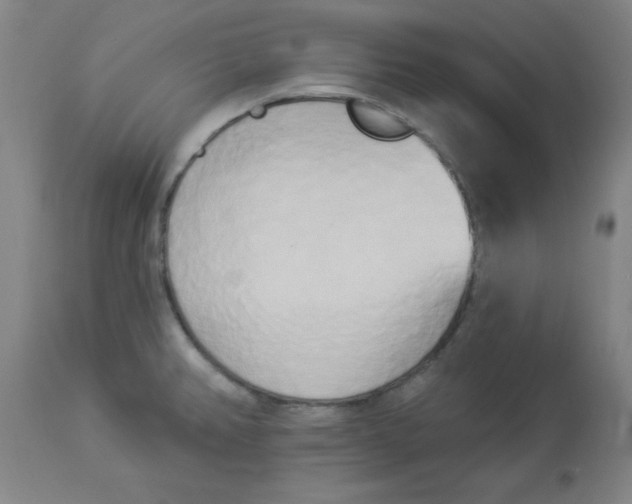 X0000112821382200909181615