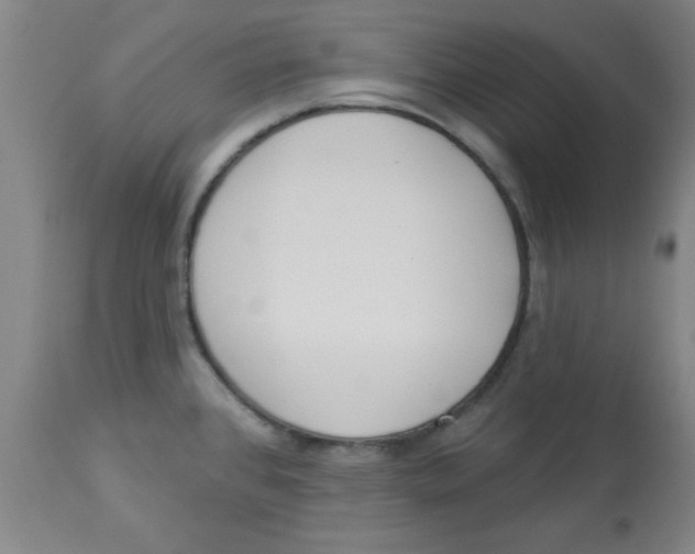 X0000112821384200909181615