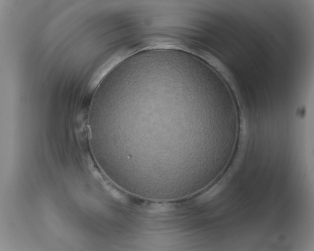 X0000112821385200909181615