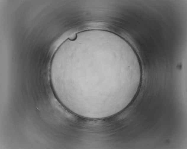 X0000112821386200909181615