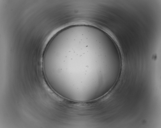 X0000112821388200909181615