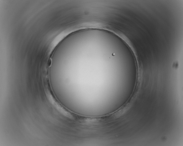 X0000112821389200909181615