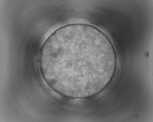 X0000112821390200909181615