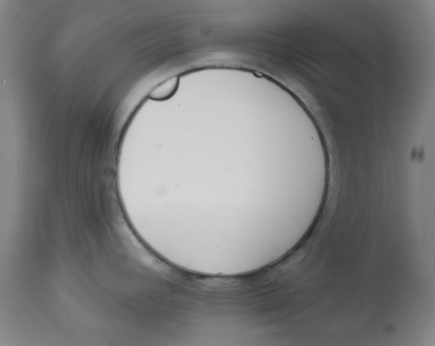 X0000112821392200909181615