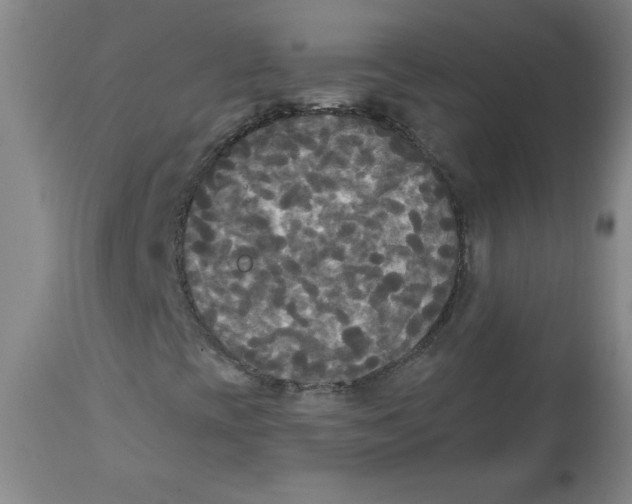 X0000112821393200909181614