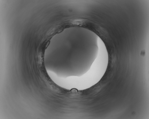 X0000112821394200909181614