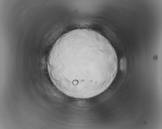 X0000112821395200909181614