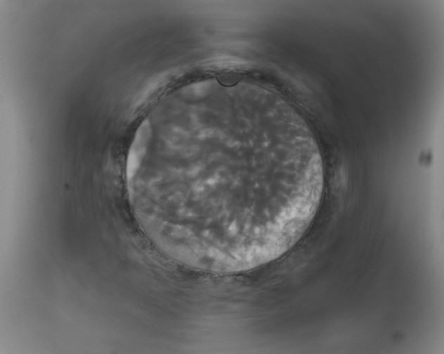 X0000112821397200909181614