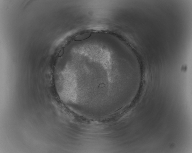 X0000112821398200909181614