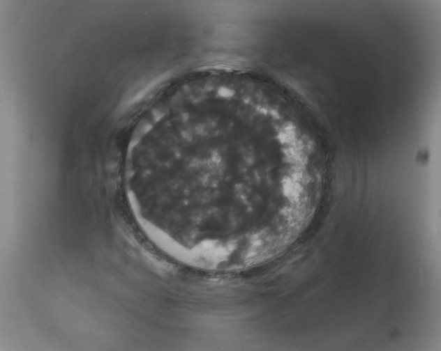 X0000112821399200909181614