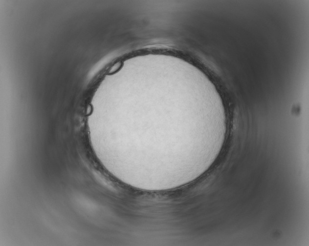 X0000112821400200909181614