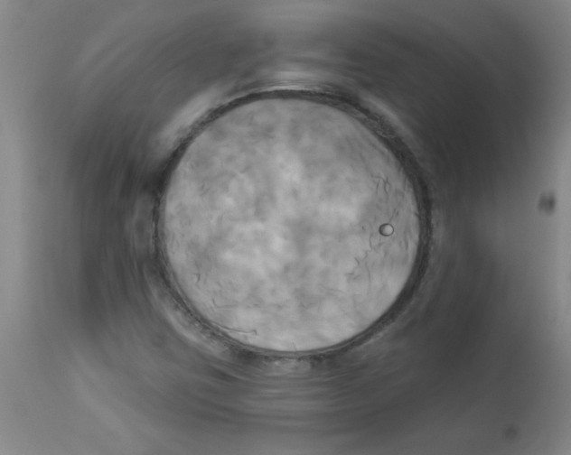 X0000112821403200909181614