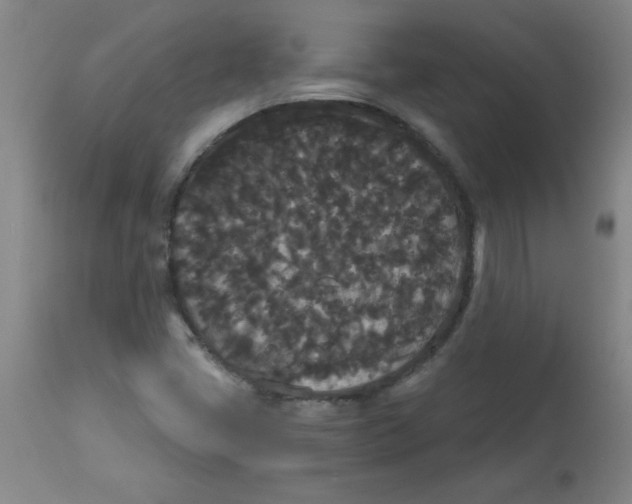 X0000112821405200909181614