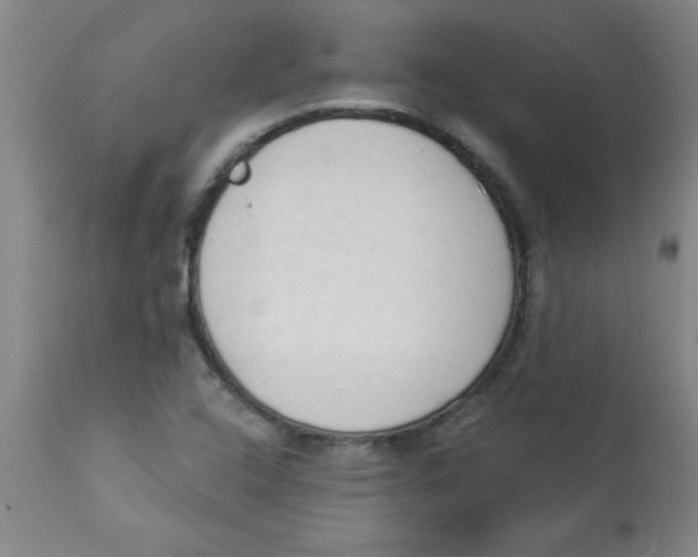 X0000112821408200909181614