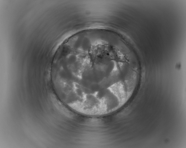 X0000112821409200909181614