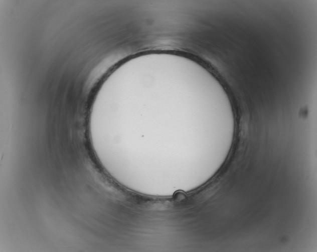 X0000112821410200909181614