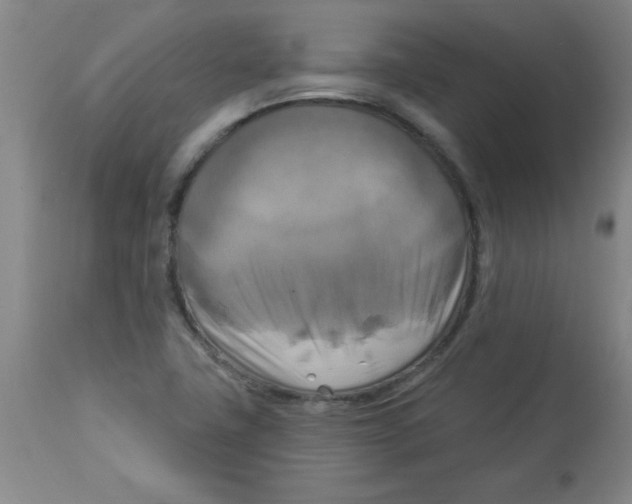 X0000112821411200909181614