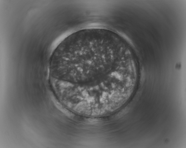 X0000112821413200909181614