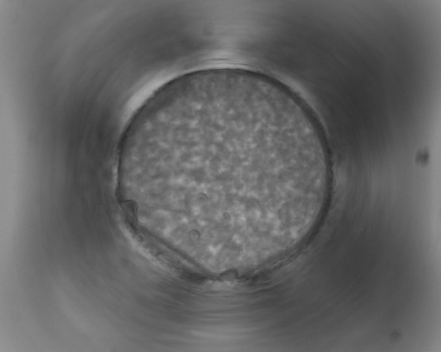 X0000112821415200909181614