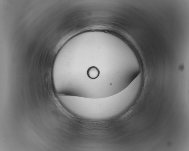 X0000112821417200909181614