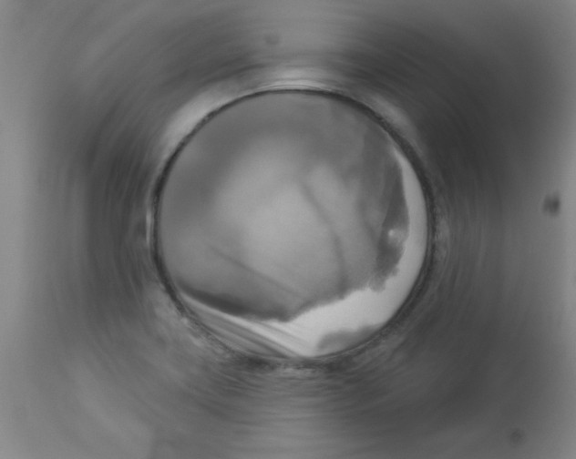 X0000112821419200909181614