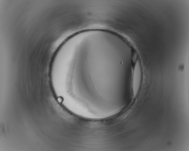 X0000112821422200909181614