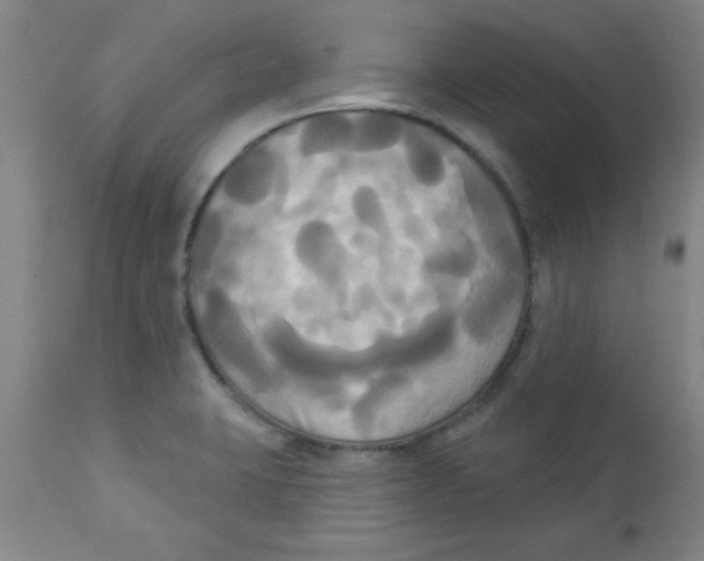 X0000112821423200909181614