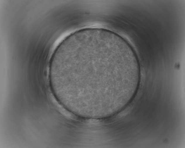 X0000112821424200909181614