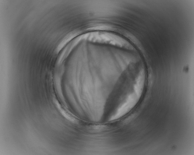 X0000112821425200909181614