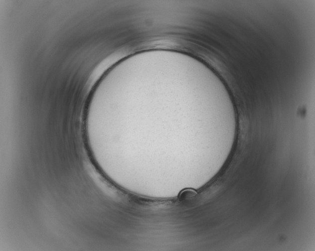 X0000112821426200909181614