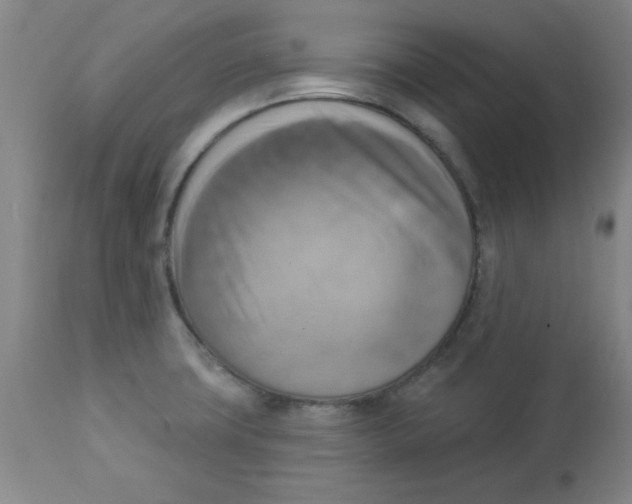 X0000112821427200909181614