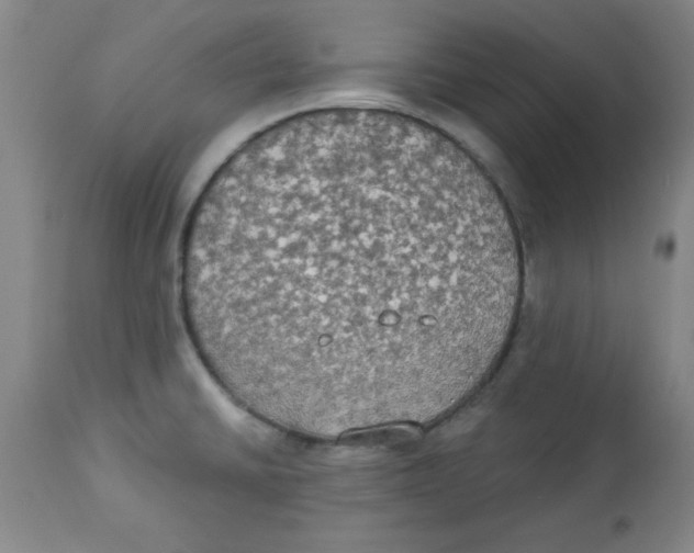 X0000112821430200909181614